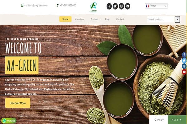 wordpress Web Developer in ghaziabad